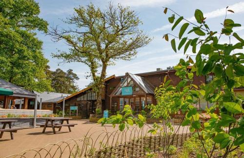 New Forest District Resort | Sandy Balls Holiday Village