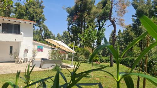 Sane House | Sani Villa Olyvia