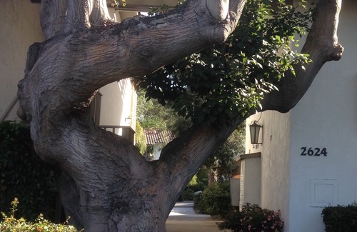Upper East Condo | Santa Barbara Luxury Upper East Condo