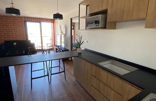 Monterrey Centro Apartment | Santa Lucia River, Old Quarter of Monterrey
