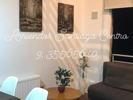 Downtown Santiago Apartment | Santiago Centro