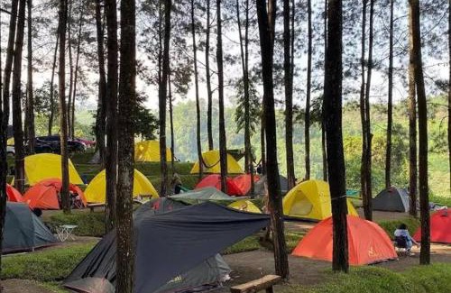 Ciloto Other | Santino camp