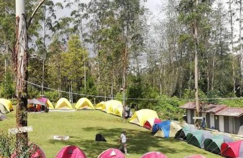 Ciloto Other | Santino camp
