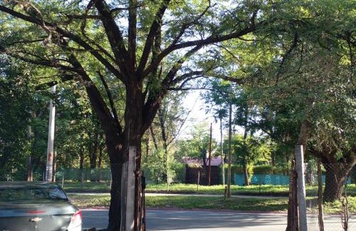 Yocsina House | Santorini Bed II