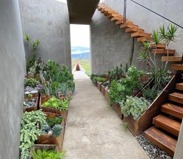 Valle de Guadalupe Bed & Breakfast | Santulan