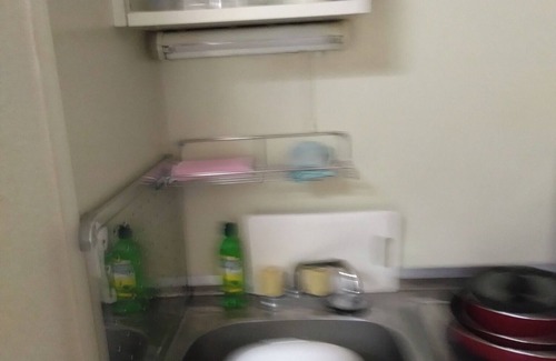 Sanuki Apartment | Sanuki City Vacation Rental 1 single bed sofa be/Sanuki Kagawa