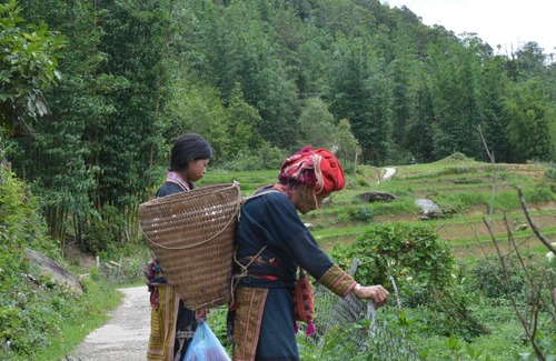 Lao Cai House | Sapa Homestay Trekking Tour For Backpackers