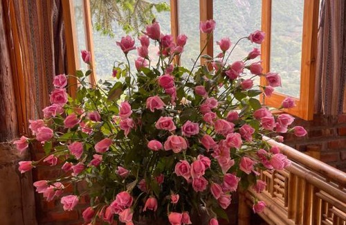 Hau Thao Bed & Breakfast | Sapa Mushroom Homestay