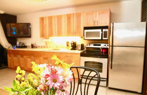 Red Hook Apartment | Sapphire del Mar B-106 Ocean Front Beach Level