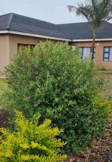 Lubombo House | Sapphire Lodge