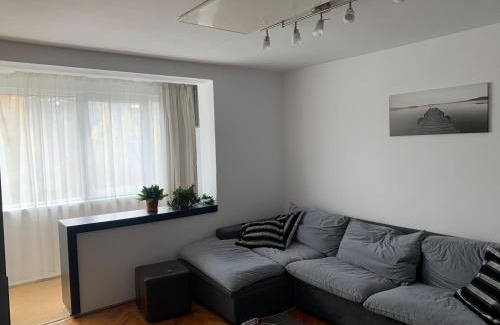 Tirgu Mures Apartment | Sara House