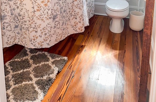 Rogers Deland Apartment | Sarah's Place Historic Downtown DeLand close to Beaches and theme parks