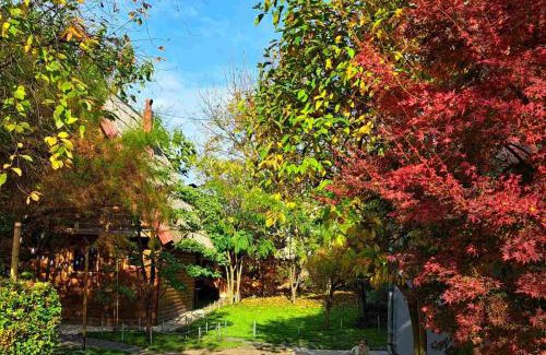 Hadzici House | Sarajevo Chalet