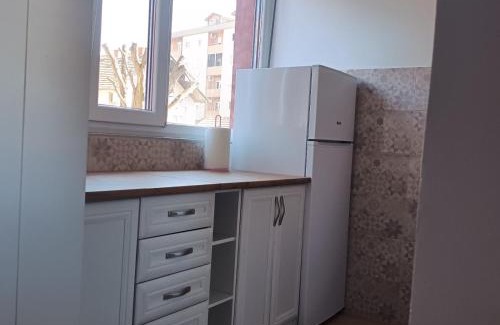 Arandelovac Apartment | Sarina Garsonjera