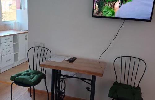 Arandelovac Apartment | Sarina Garsonjera