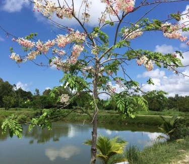 Rayong Resort | Sarocha Resort Rayong