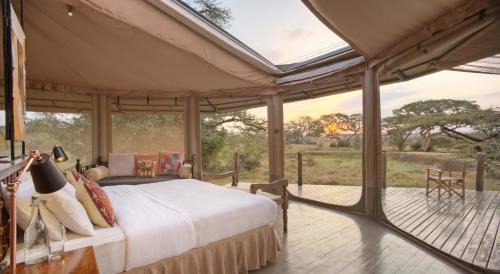 Talek Other | Saruni Leopard Hill
