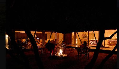Aitong Other | Saruni Wild