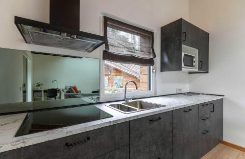 Transacqua Apartment | Sass Maor - Caminetto