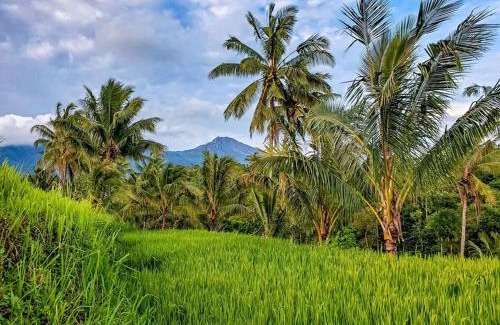 Tetebatu Other | Satu Lingkung