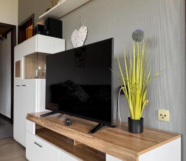 Feriendorf Hennesee House | Sauerländer Henne-Lütt