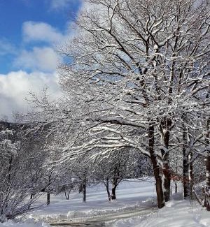 Hallenberg Apartment | Sauerland Alm Winterberg 5