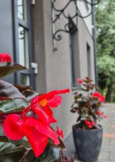 Saldus Apartment | Saules iela 2A