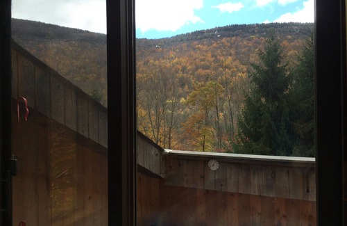 Lanesville House | Sauna, Hot-tub, Private Pool, fire-pit, pet friendly, Mountain views!