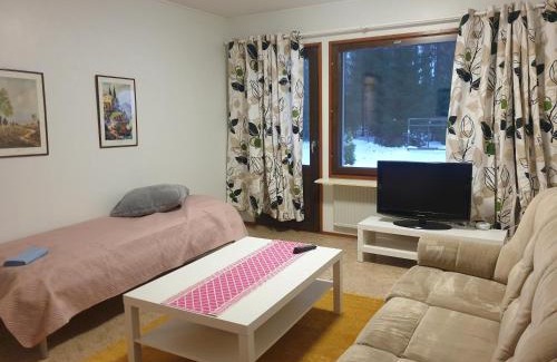 Pielavesi Apartment | Saunallinen rivitalohuoneisto A1 59m2