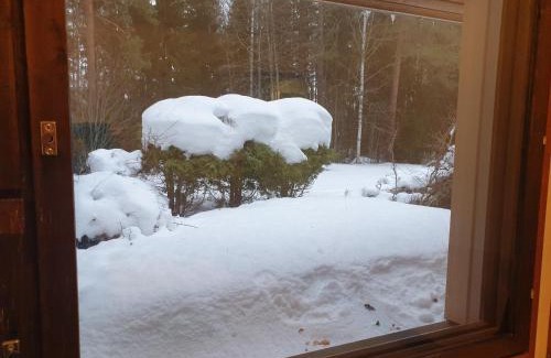Pielavesi Apartment | Saunallinen rivitalohuoneisto A2 50m2