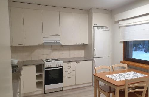 Pielavesi Apartment | Saunallinen rivitalohuoneisto B5 59m2