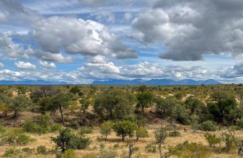 Maruleng Cabin | Sausage Tree Safari Camp