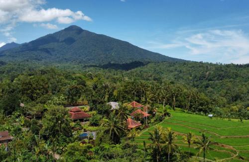 Pupuan Resort | Sava Eco Retreat