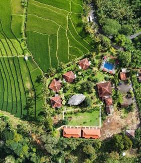 Pupuan Resort | Sava Eco Retreat