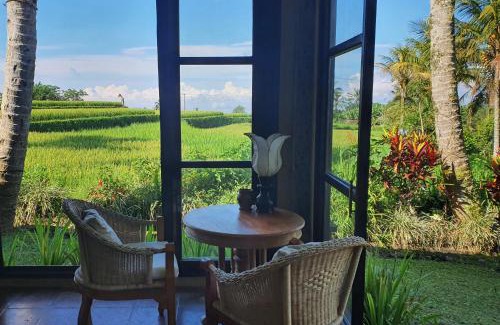 Pupuan Resort | Sava Eco Retreat