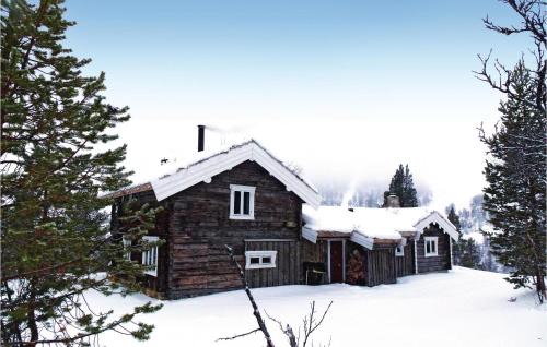 Tynset House | Savalen Hestesenter