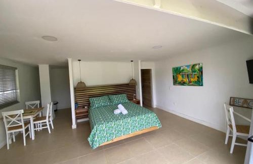 Punta Sur Apartment | Savannah Inn Studio 101