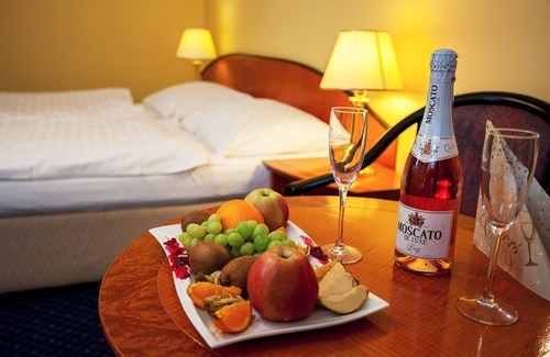 Ceske Budejovice Hotel | Savoy