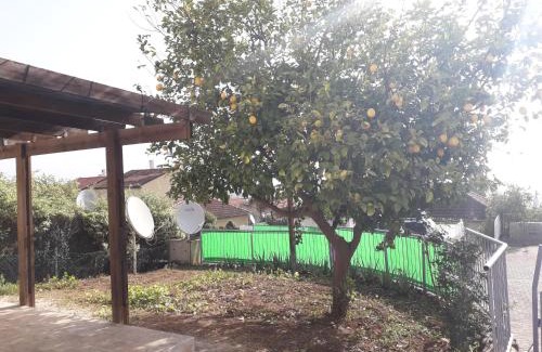 Qiryat Shemona House | Savyon Apartment in Galilee