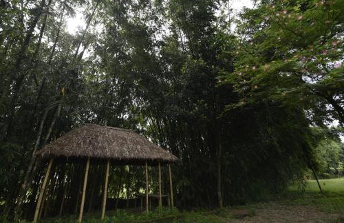 Jalpaiguri Resort | Sawasstika Eco Park Resort