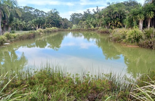 Bonville Cottage | Sawtell Hinterland Retreat .Rural , peaceful living ,close to everything !