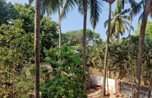 Calangute House | Sayali HOME STAY CALANGUTE
