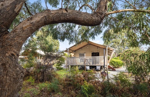 Scamander RV Rental | Scamander Sanctuary Holiday Park