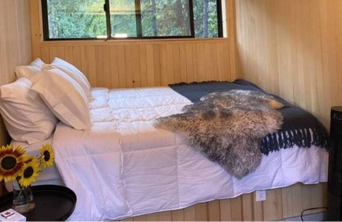 Crescent Valley Cabin | Scandinavian Micro-Cabin