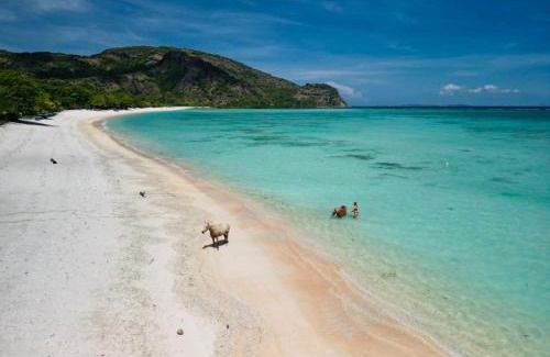 Sumbawa Barat Cabin | Scar Reef Resort - Beachfront Paradise HALF BOARD or NIGHT STAY
