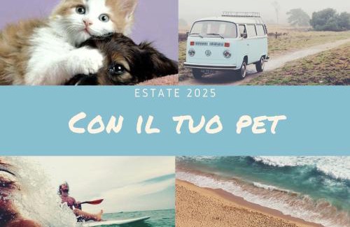 Scario Apartment | Scario house