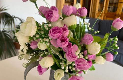 Scario Apartment | Scario house