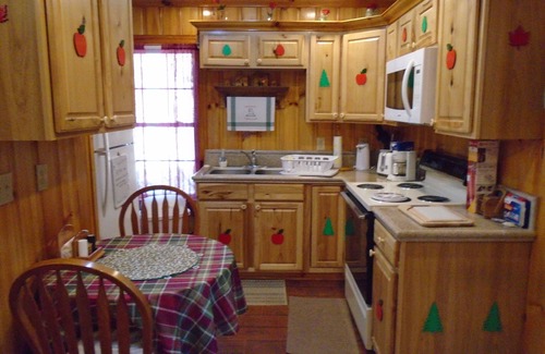 Marion Cabin | Scenic cabin near Hungry Mother, Mount Rogers, and Grayson Highlands Parks