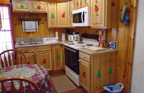 Marion Cabin | Scenic cabin near Hungry Mother, Mount Rogers, and Grayson Highlands Parks