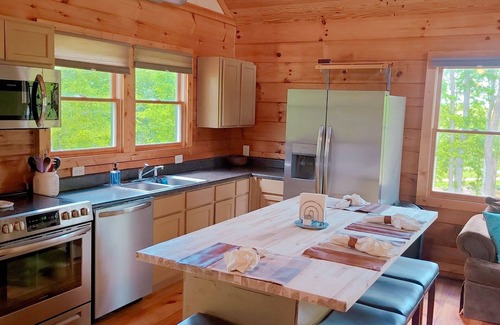 Olivehill Cabin | Scenic Hilltop Cabin on TN River w Firepit, Grill, WIFI, Full Kitchen, H2O views
